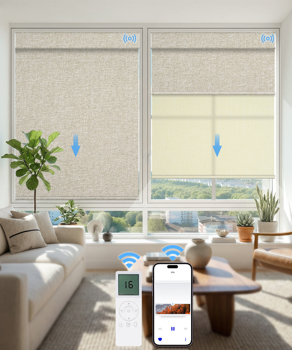 Motorized Dual Roller Shades, Blackout & Light Filtering