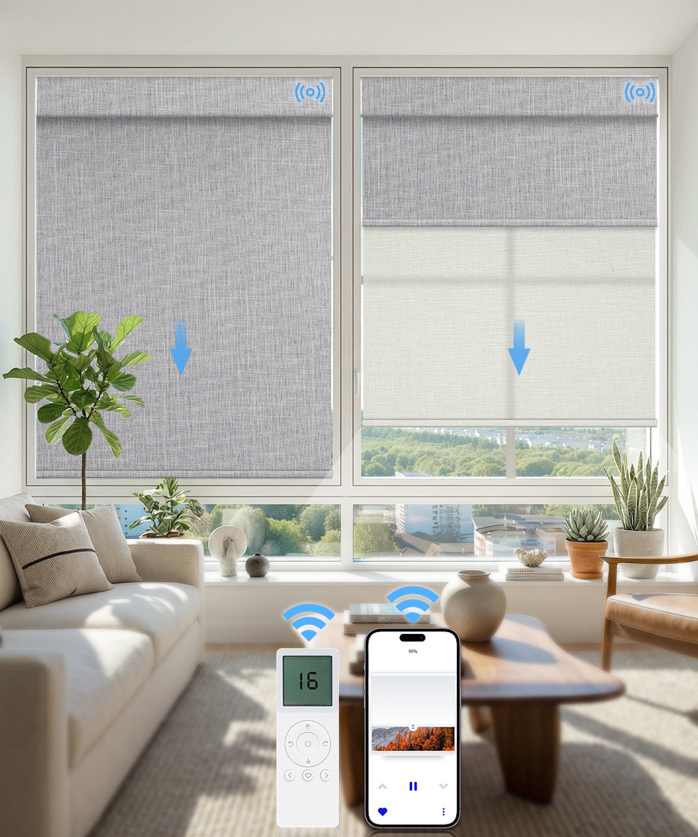 Motorized Dual Roller Shades, Blackout & Light Filtering