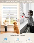 Motorised Zebra Blinds