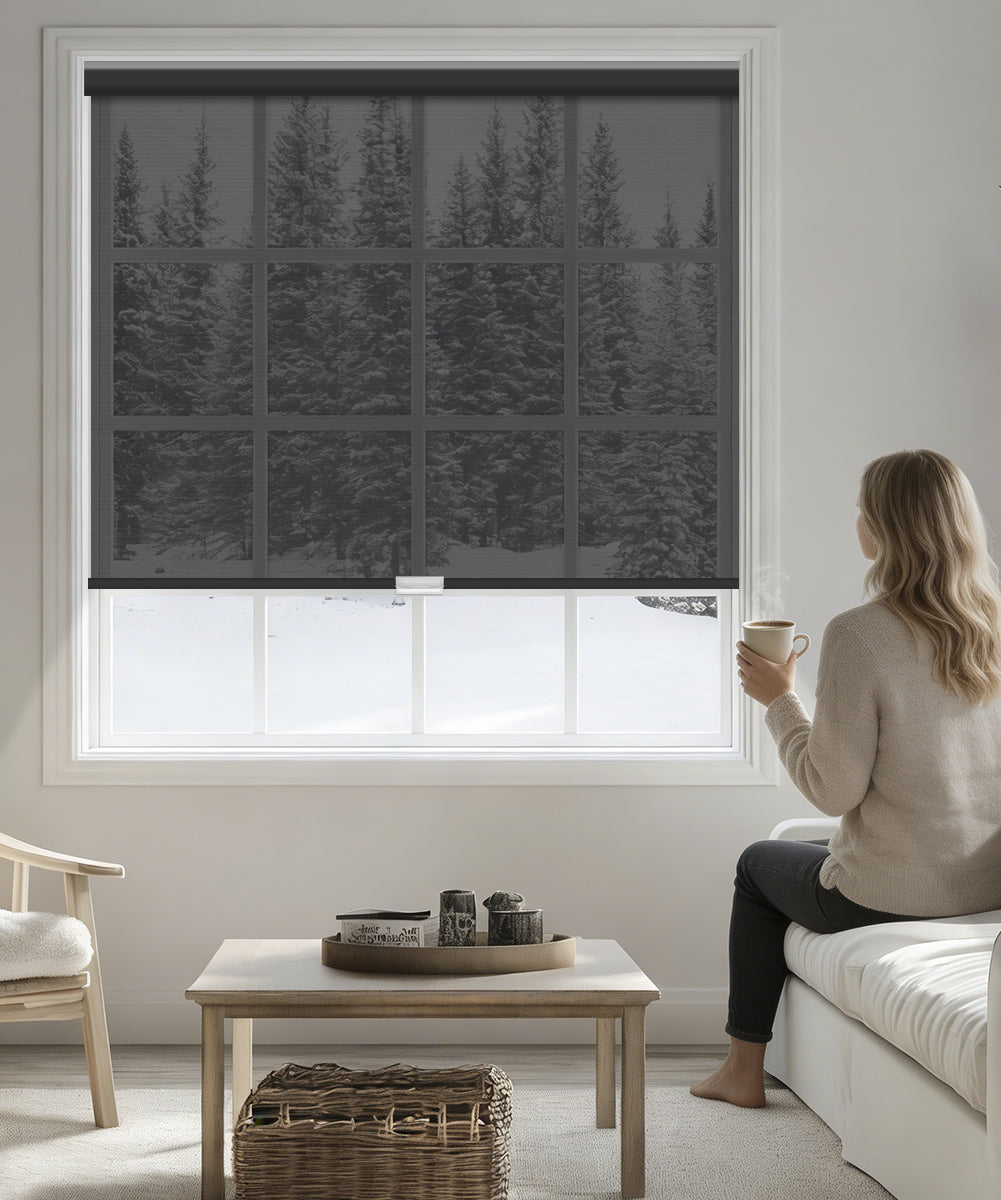 Manual Cordless Light Filtering Roller Shade - Sheer Fabric