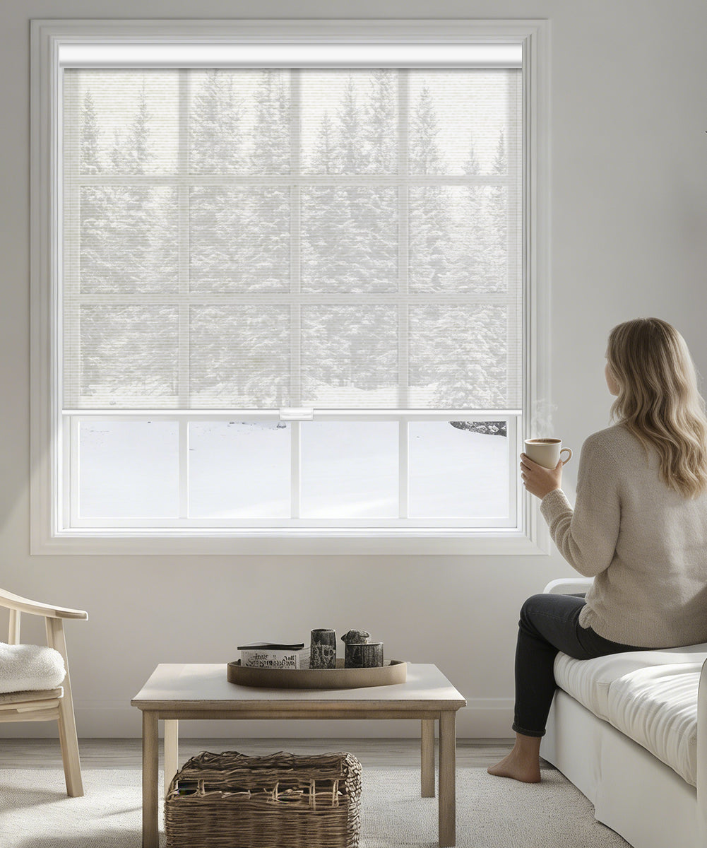 Manual Cordless Light Filtering Roller Shade - Sheer Fabric