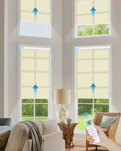 Motorized Light Filtering Roller Shades - Tokblind official