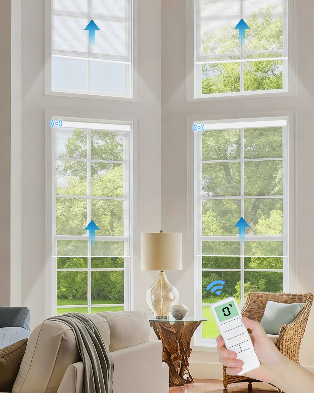 Motorized Light Filtering Roller Shades - Sheer White - Tokblind official